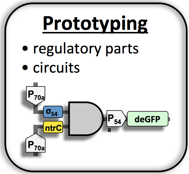 circuit1